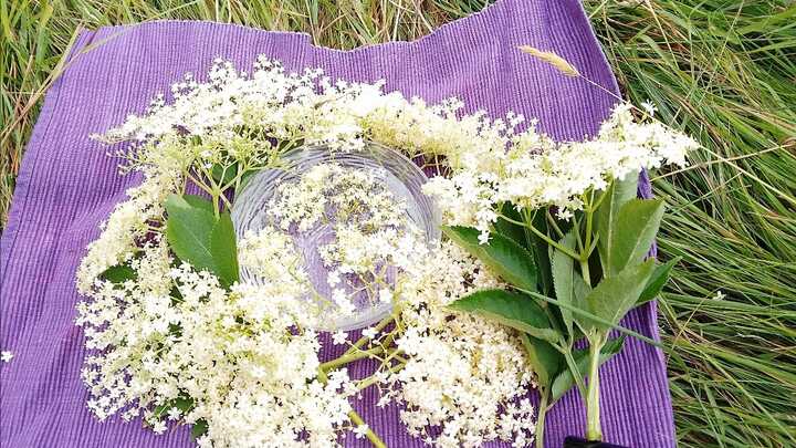 Another essence - Elderflower - made in the full Solstice Sun capturing the joy and abundance of summer!