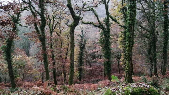 Sacred Space - Hawkridge on Exmoor